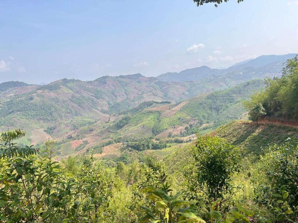 My Story Doichang Chiangrai Ban Huai Khai Exterior foto